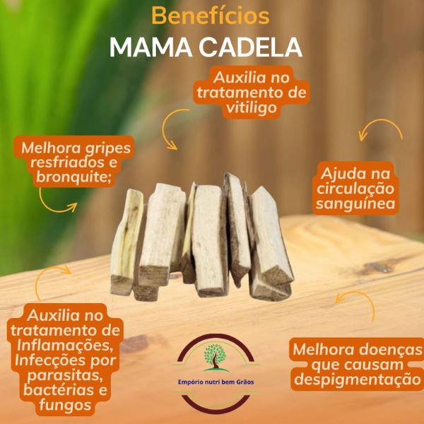MAMA CADELA - (BROSIMUM GAUDICHALL)